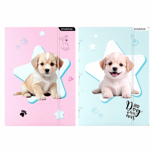 Teczka z gumką doggy 300g Starpak