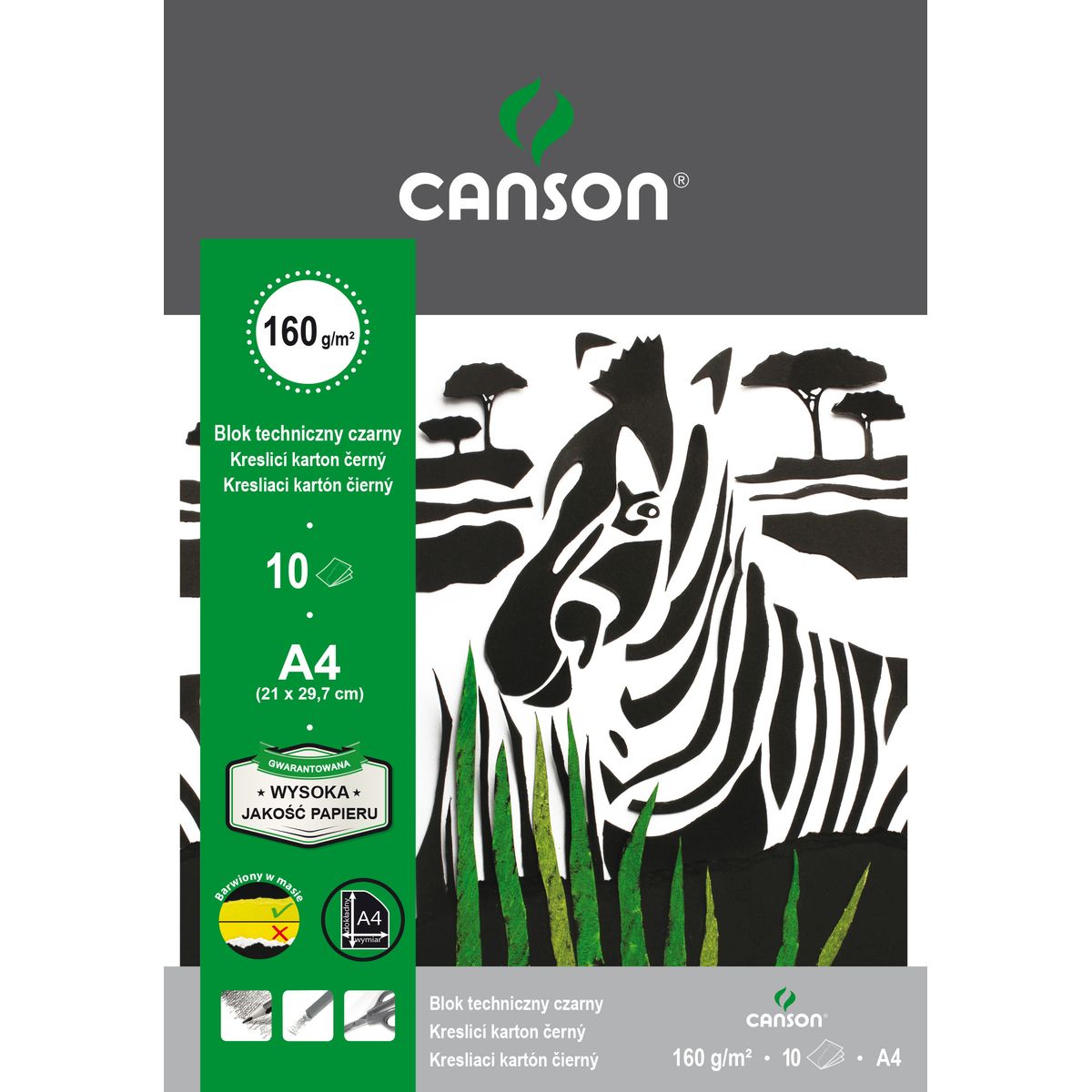 Blok techniczny czarny A4/10 kartek 160g Canson