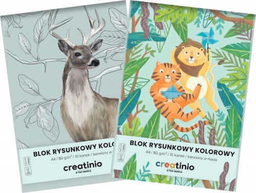 Blok rysunkowy kolorowy A4/20 kartek Creatinio TOP 2000