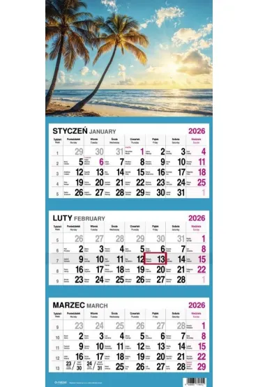 Kalendarz naścienny trójdzielny 31x79cm 2026 palmy O-Press