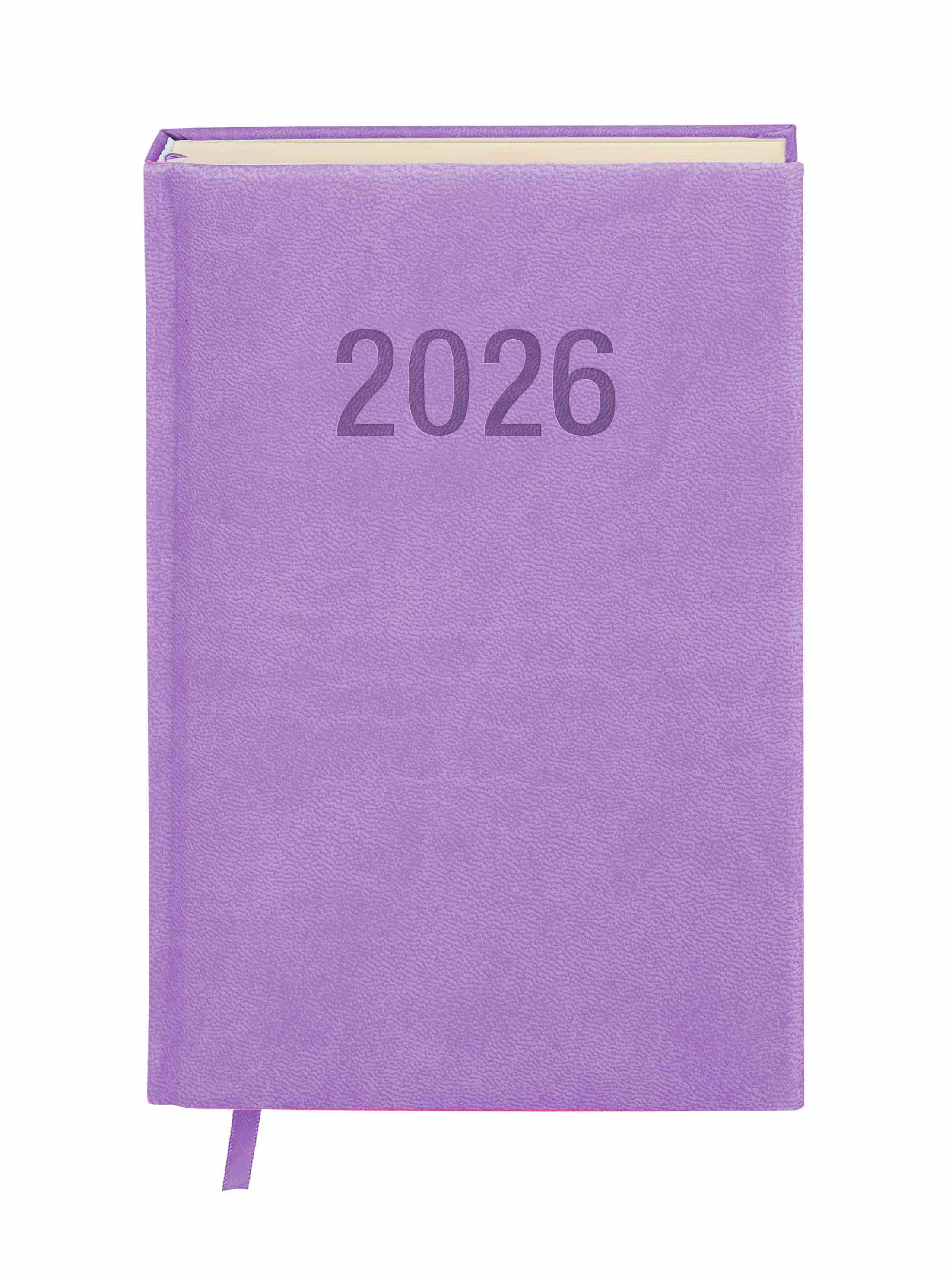 Kalendarz terminarz książkowy dzienny A5 2026 Colorfix Antra
