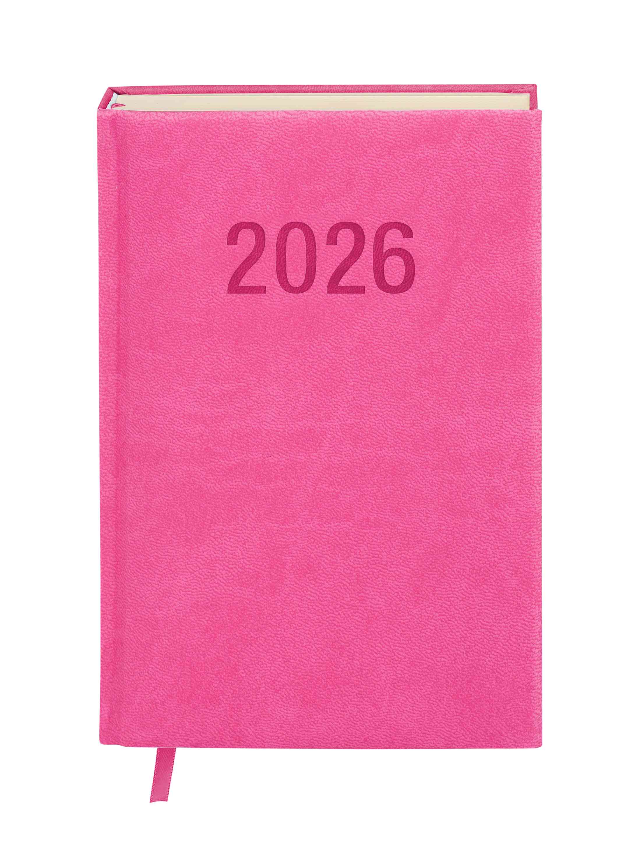 Kalendarz terminarz książkowy dzienny A5 2026 Colorfix Antra