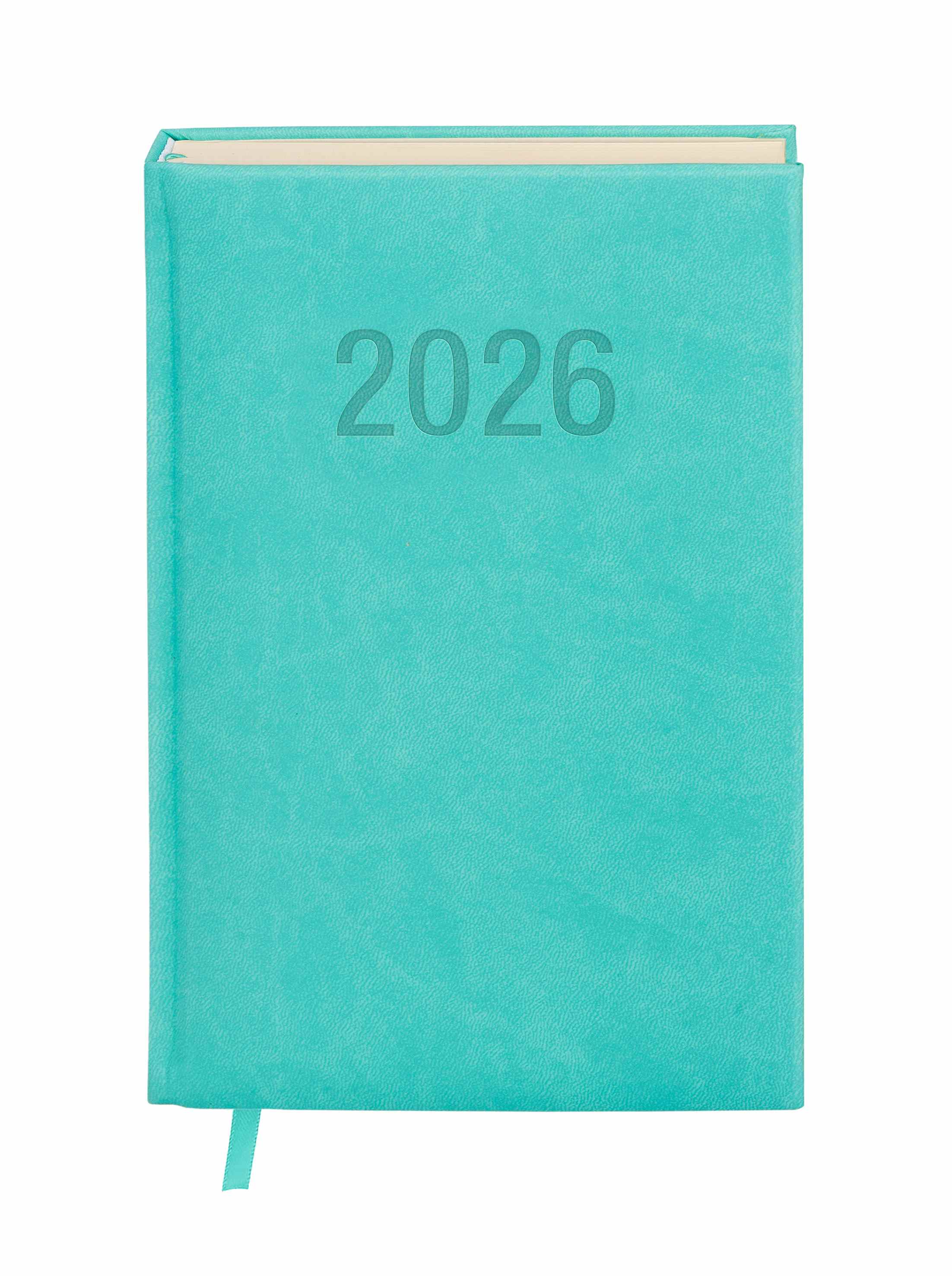 Kalendarz terminarz książkowy dzienny A5 2026 Colorfix Antra