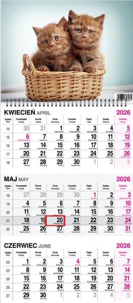 Kalendarz naścienny trójdzielny spirala 31x79cm 2026 koty O-Press
