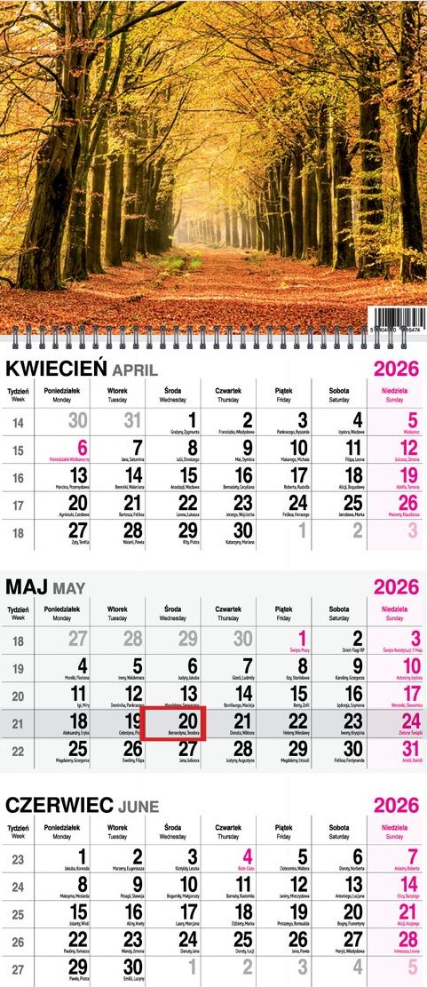Kalendarz naścienny trójdzielny spirala 31x79cm 2026 las O-Press