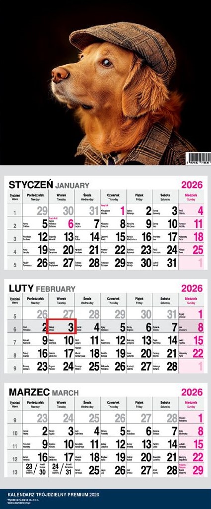 Kalendarz naścienny trójdzielny 31x79cm 2026 premium pies O-Press