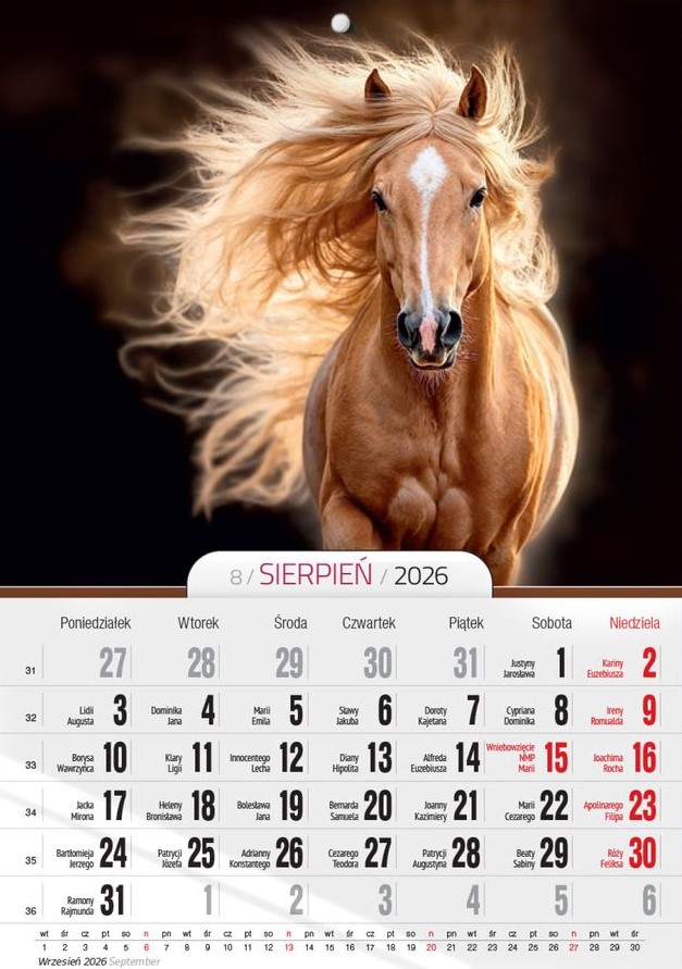 Kalendarz naścienny wieloplanszowy A4 2026 konie O-Press
