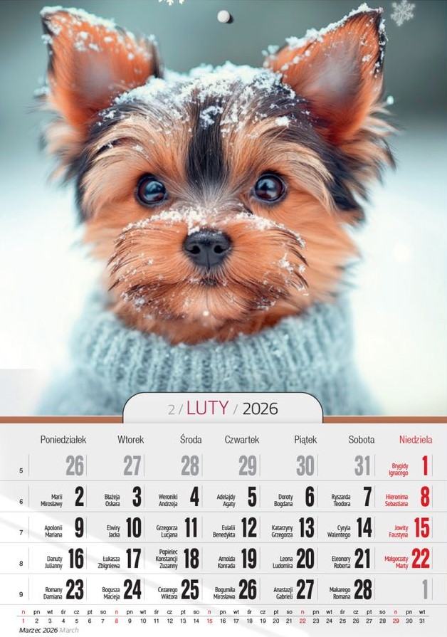 Kalendarz naścienny wieloplanszowy A4 2026 milusińscy O-Press