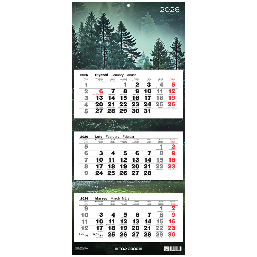 Kalendarz naścienny trójdzielny 31x72cm 2026 las TOP-2000