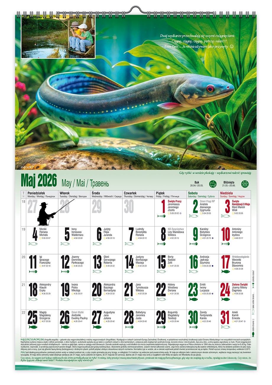 Kalendarz naścienny wieloplanszowy A3 2026 wędkarski Pan Kalendarzyk