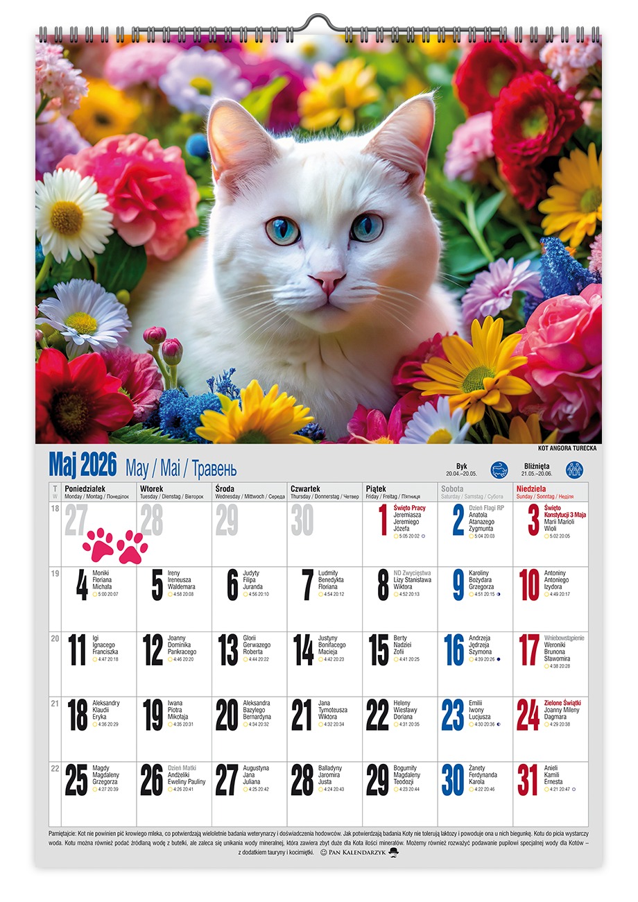 Kalendarz naścienny wieloplanszowy A3 2026 koci styl Pan Kalendarzyk