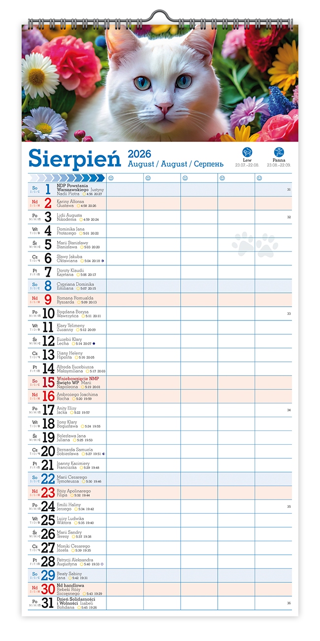 Kalendarz naścienny wieloplanszowy notatnikowy 22x47cm 2026 koty Pan Kalendarzyk