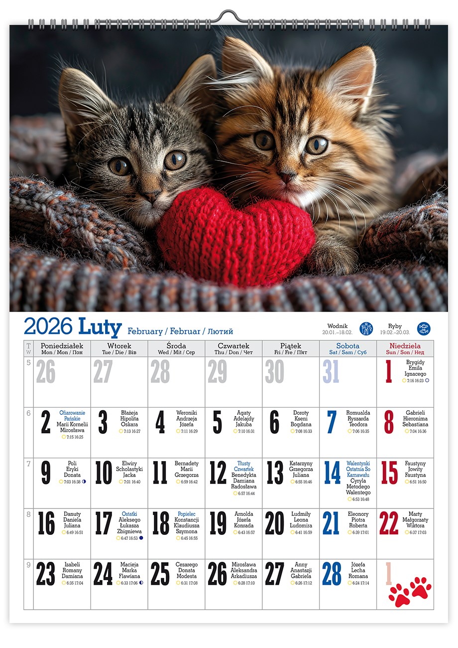 Kalendarz naścienny wieloplanszowy A4 2026 koty Pan Kalendarzyk