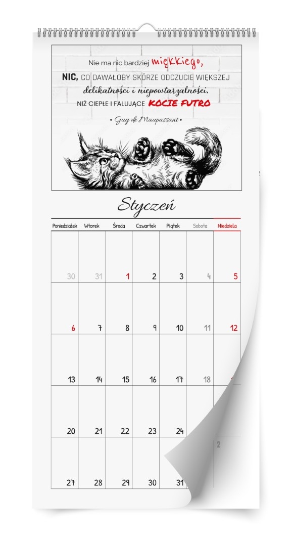 Kalendarz naścienny notatnikowy wieloplanszowy 20x42cm 2026 Kalpolbis
