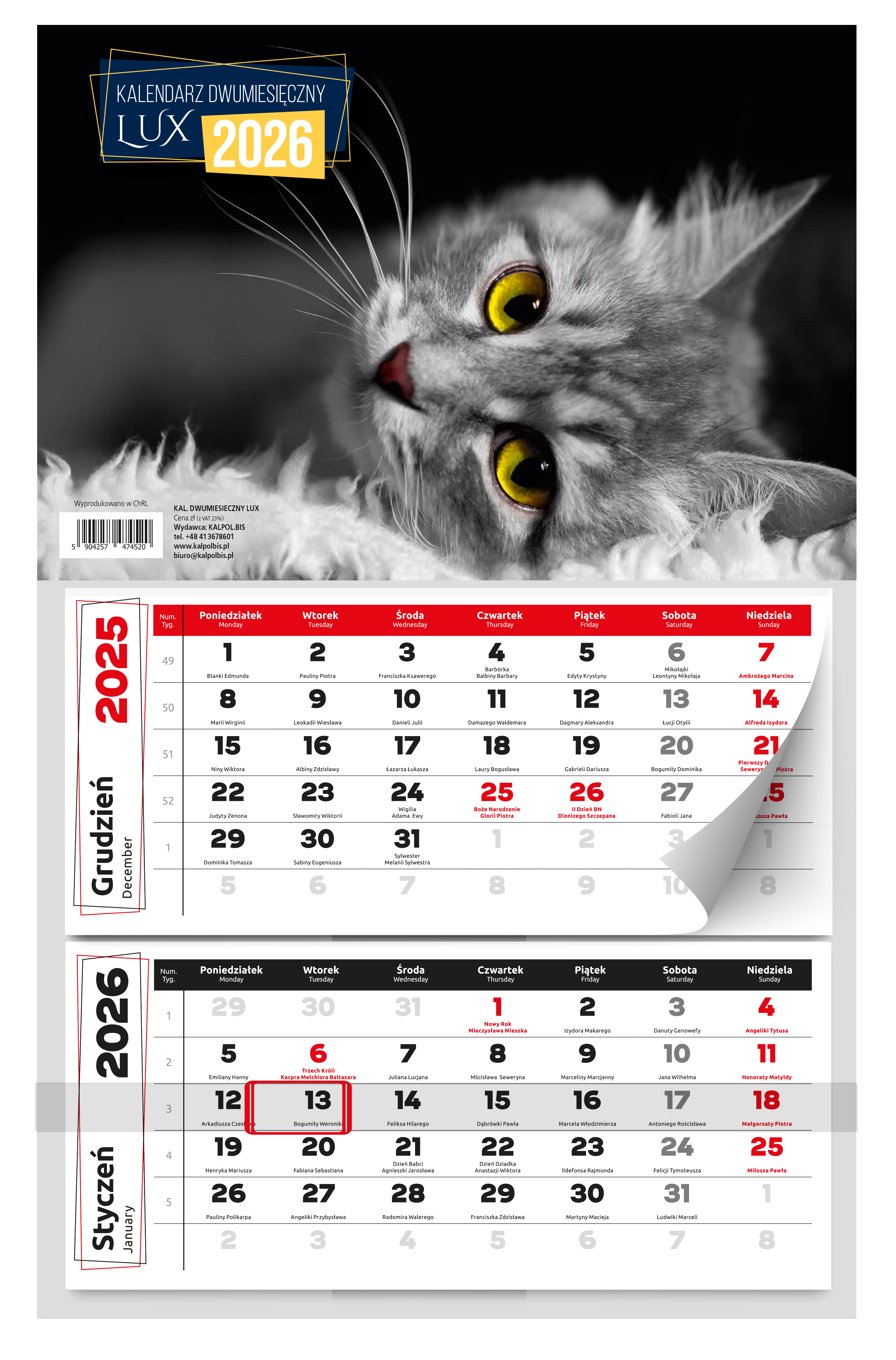 Kalendarz naścienny dwudzielny 31x53cm 2026 Lux kot Kalpolbis