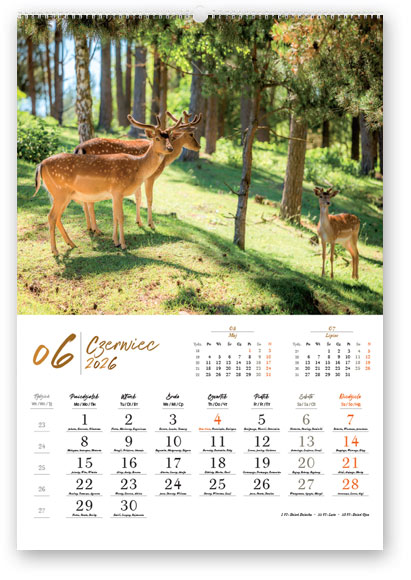 Kalendarz wieloplanszowy naścienny A3 32x47cm 2026 dzika przyroda Lucrum
