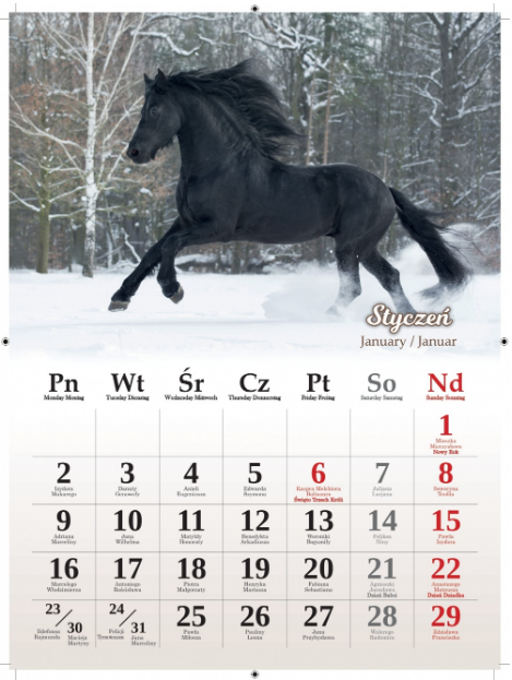 Kalendarz wieloplanszowy naścienny Konie 2023 B4 23x31cm Artsezon