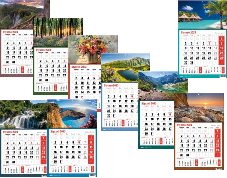Kalendarz naścienny jednodzielny 2023 31x48cm Avanti