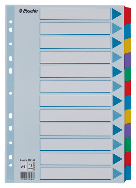 Przekładki kartonowe Mylar 12 kolorów A4 160g Esselte 