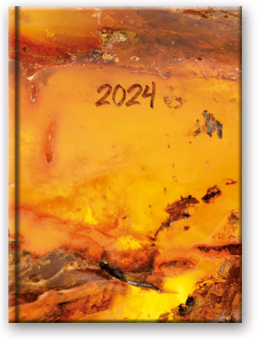 Kalendarz terminarz książkowy dzienny 2024 A5 Soft Lucrum