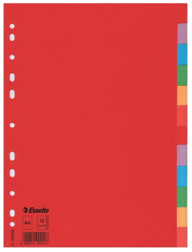 Przekładki A4 12 kolorów kartonowe 160g Esselte