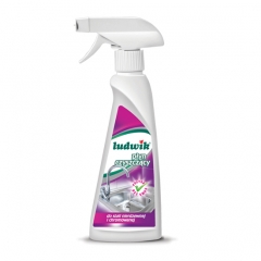 Spray płyn do stali nierdzewnej i chromowanej 250ml Ludwik