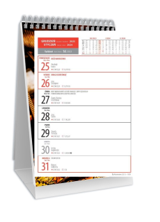 Kalendarz biurkowy stojący tygodniowy pionowy 2024 14x21cm Avanti